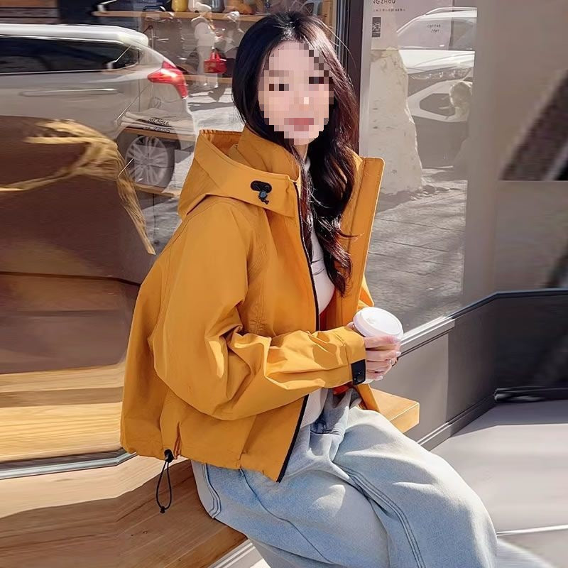 db33f39bfc36646ff6bd4010fcc98646